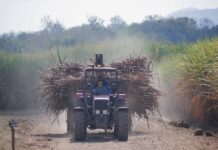 Why Zimbabwe sugar costs more
